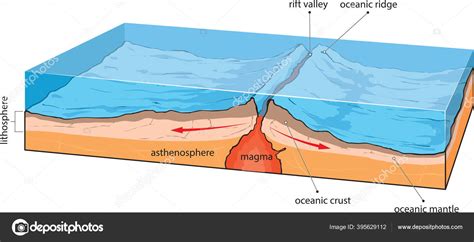 Vector Illustration Shows Oceanic Crust Divergence Stock Vector Image ...