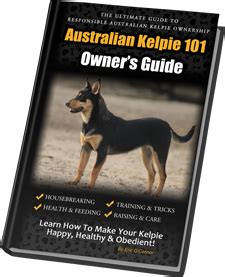 Australian Kelpie 101: Owner's Guide