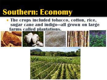 13 Colonies-PowerPoint:Exploration SOUTHERN Colonies:economy,government ...