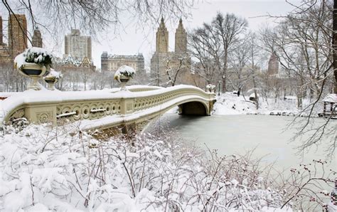 How to Explore Central Park in Winter | Travel Insider