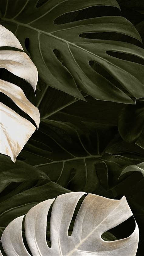 Green natural Monstera leaves on sandy | Premium PSD - rawpixel ...