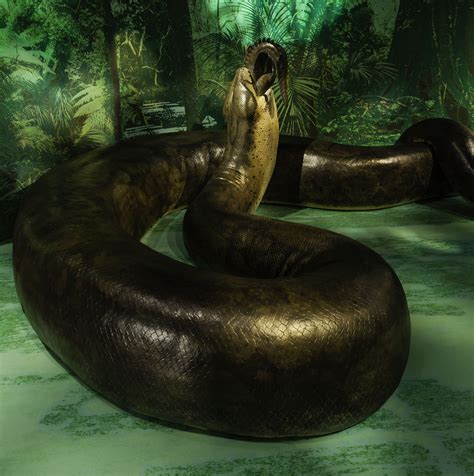 Titanoboa Monster Snake