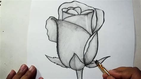 How to Draw A Rose || Pencil Drawing, Shading for Beginners - YouTube