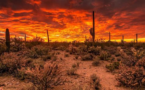 Arizona Desert Sunset Wallpapers - 4k, HD Arizona Desert Sunset ...