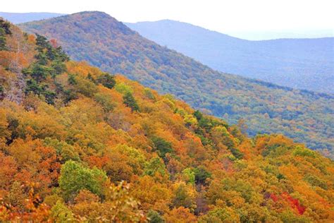 Photos: Fall Color on Cheaha Mountain | Features | annistonstar.com