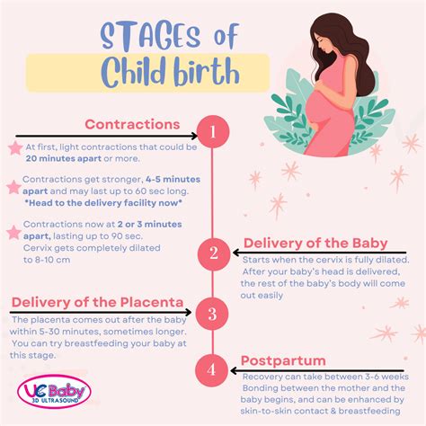 The Four Stages Of Labour Part | tunersread.com