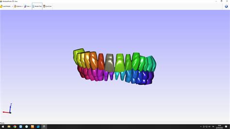 3D Dental human real anatomy model - TurboSquid 2045627