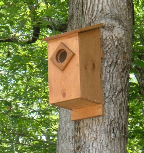 Screech Owl House Plans How To Build A Screech Owl Box Feltmagnet von ...