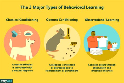 Operant Conditioning | Psychology - Quizizz