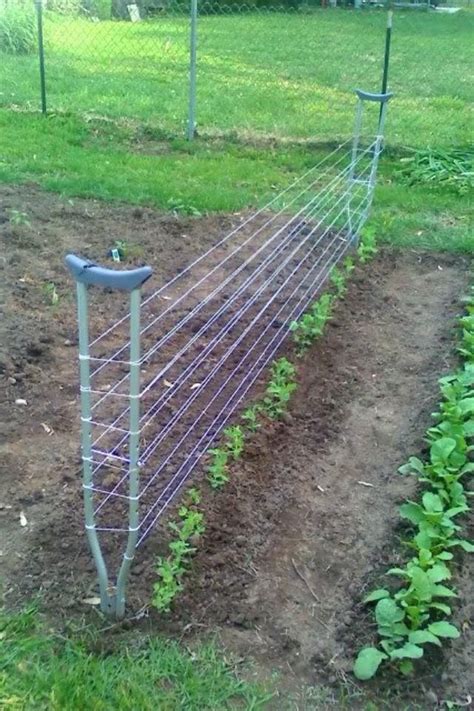 7 best Passionfruit trellis images on Pinterest | Vegetable garden ...