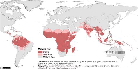 Mapping The Global Threat: Understanding The Prevalence Of Malaria ...