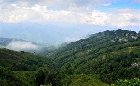 Happy Valley Tea Estate, Darjeeling, West Bengal Tourism 2021| Places ...