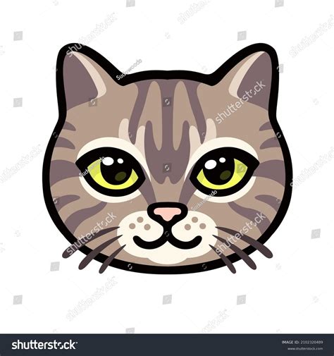 Cartoon Tabby Cat Face Drawing Cute Stock Vector (Royalty Free ...