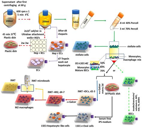 An efficient and simple co-culture method for isolating primary human ...