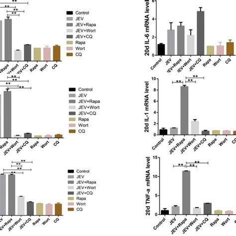 Autophagy inhibitor treatment reduced the secretion of pro-inflammatory ...