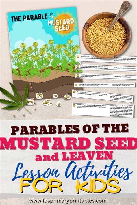 Parable of the Mustard Seed & Leaven Bible Parable Lessons for Kids