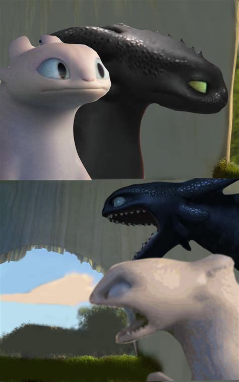 Toothless and light fury meme by DracoAwesomeness on DeviantArt