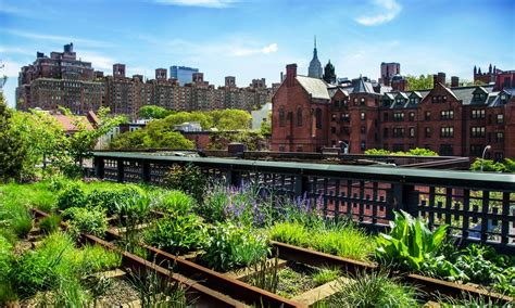 The High Line Park NYC | The Public Park in the Sky