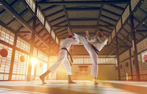 The Origins of Karate in Japan | KCP Japanese Language School