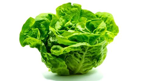 Lechuga: estas son sus propiedades medicinales