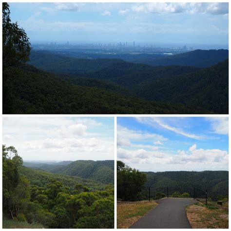 The Mouses House Rainforest Retreat and Exploring Springbrook National ...