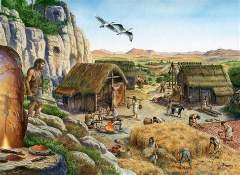 Neolithic agriculture, illustration - Stock Image - C053/7354 - Science ...