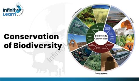 Conservation Of Biodiversity) Definition, Methods, Examples, 47% OFF