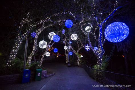 LA Zoo Lights: Christmas Lights at the Los Angeles Zoo - California ...