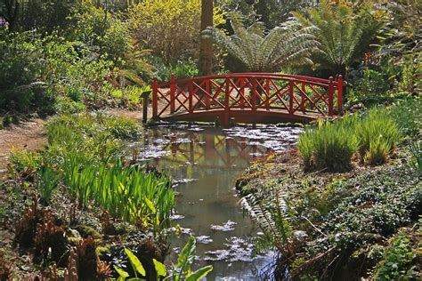 "Subtropical Gardens, Abbotsbury" by RedHillDigital | Redbubble