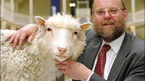 Sheep Cloner Gets Human License - CBS News