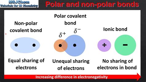 Polar Covalent Bond Vs Nonpolar Covalent Bond