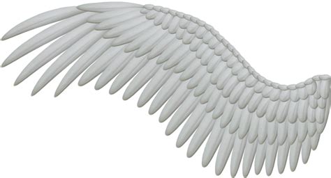 Collection of Wings HD PNG. | PlusPNG