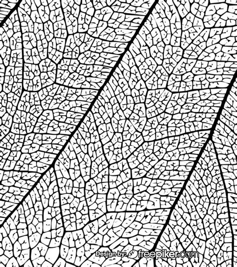 Leaf Texture Black White Background | Black and white background, Leaf ...