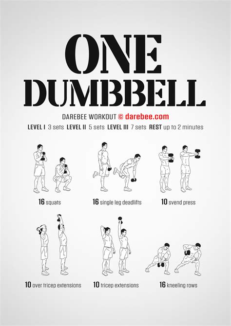 Dumbbell Exercises