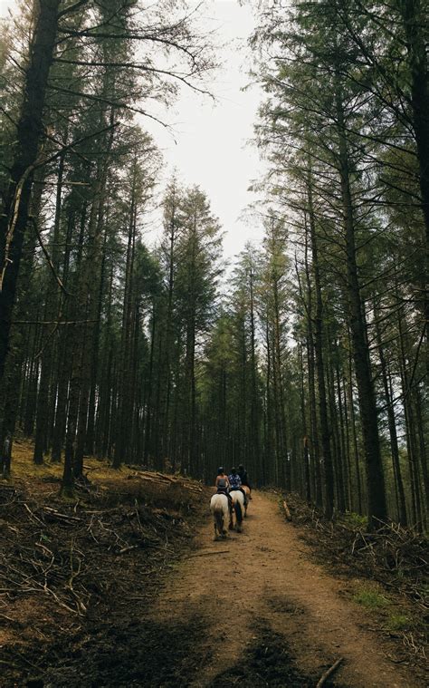 StopBuggn | Tips for trail riding during hunting season | StopBuggn