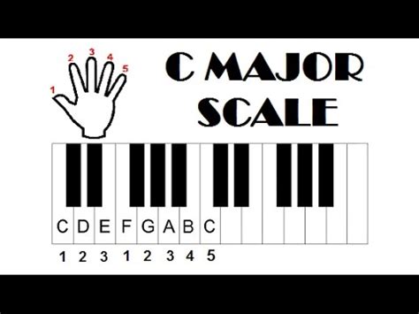 Easy Piano Lesson - How To Play The C Major Scale - For Beginners - YouTube