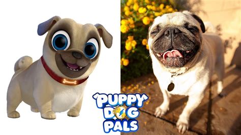 Puppy Dog Pals Characters In Real Life | All Characters 2017 - YouTube