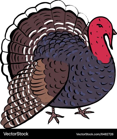 Turkey for thanksgiving day Royalty Free Vector Image