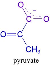 Liverpool Life Sciences UTC Innovation Labs: Molecule of the Month ...