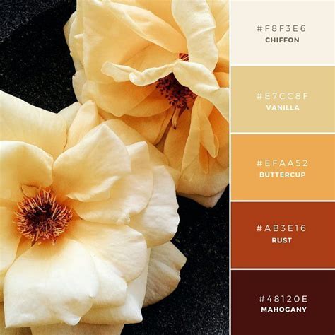 Canva Color Palette