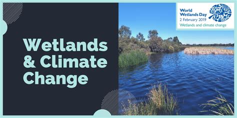 Wetlands & Climate Change - Integrate Sustainability