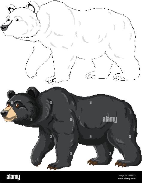 Outline of a black bear cartoon for coloring pages, isolated on white ...