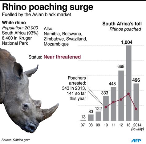 Latest rhino poaching statistics