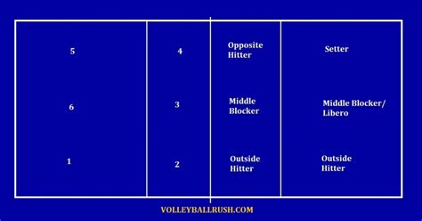 Volleyball Positions 101: Player Roles - Volleyball Rush