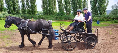 Carriage Driving Lessons | Instruction | Introductory taster sessions ...