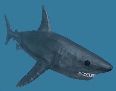 Shark | Roblox Shark Bite Wiki | FANDOM powered by Wikia