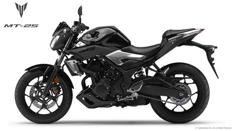 Yamaha MT-25 Top Speed, Expected Specs & Price in India