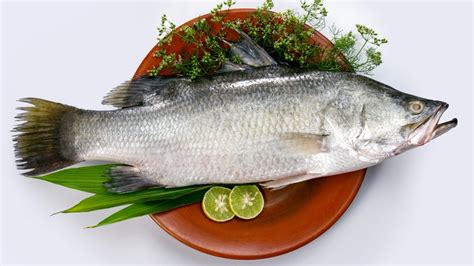 What Is Barramundi And How Should You Cook It?