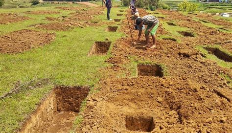 Pits being dug for planting tree on WED | The Shillong Times