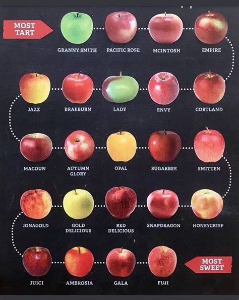 From sweet to tart... | Apple varieties, Apple chart, Fruit recipes